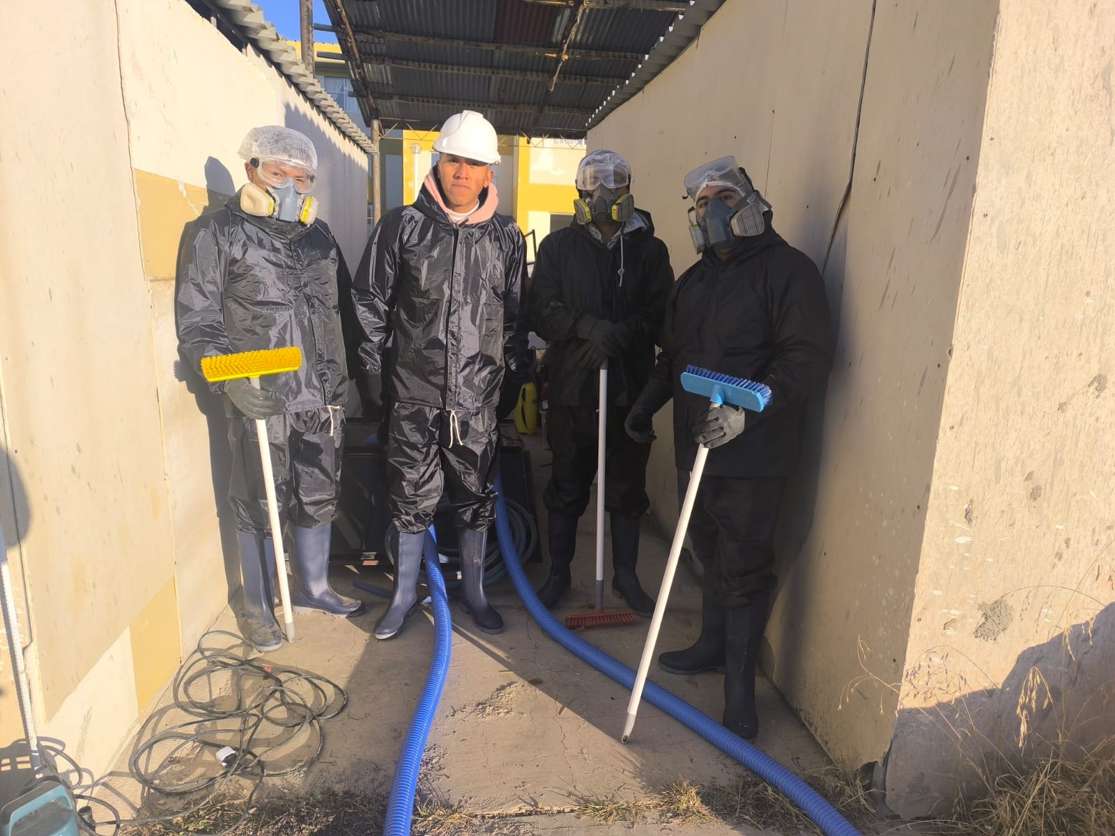 Después de la limpieza profesional